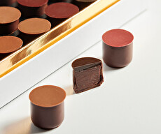 Plumier Grands Crus