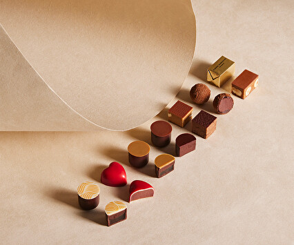 Plumier Découverte  Pierre Marcolini