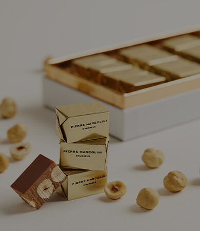 Qu'est ce que le praliné Desktop 1