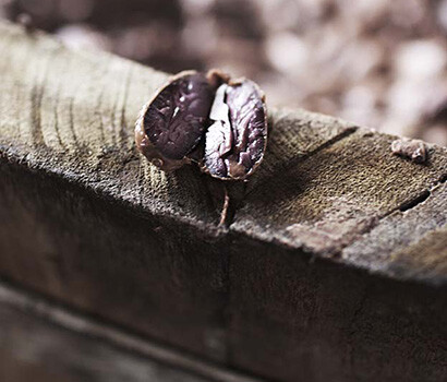 engagement d'un chocolat durable