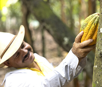 Nos planteurs et leurs plantations
